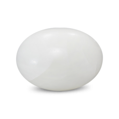 White Coral